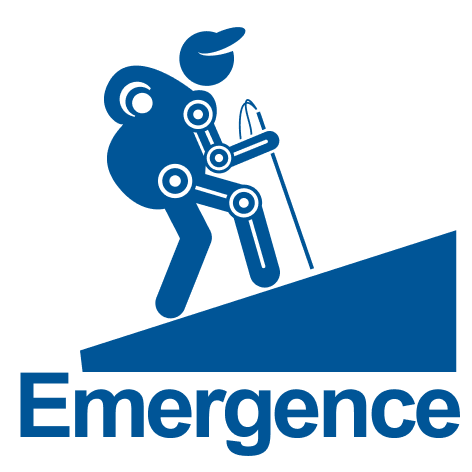 EMERGENCE Healthcare Technologies Network+ Robotics for Frailty Challenge